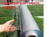 MÀNG NHỰA PVC TRONG SUÔT 1.0mm x 1.2m x 20m